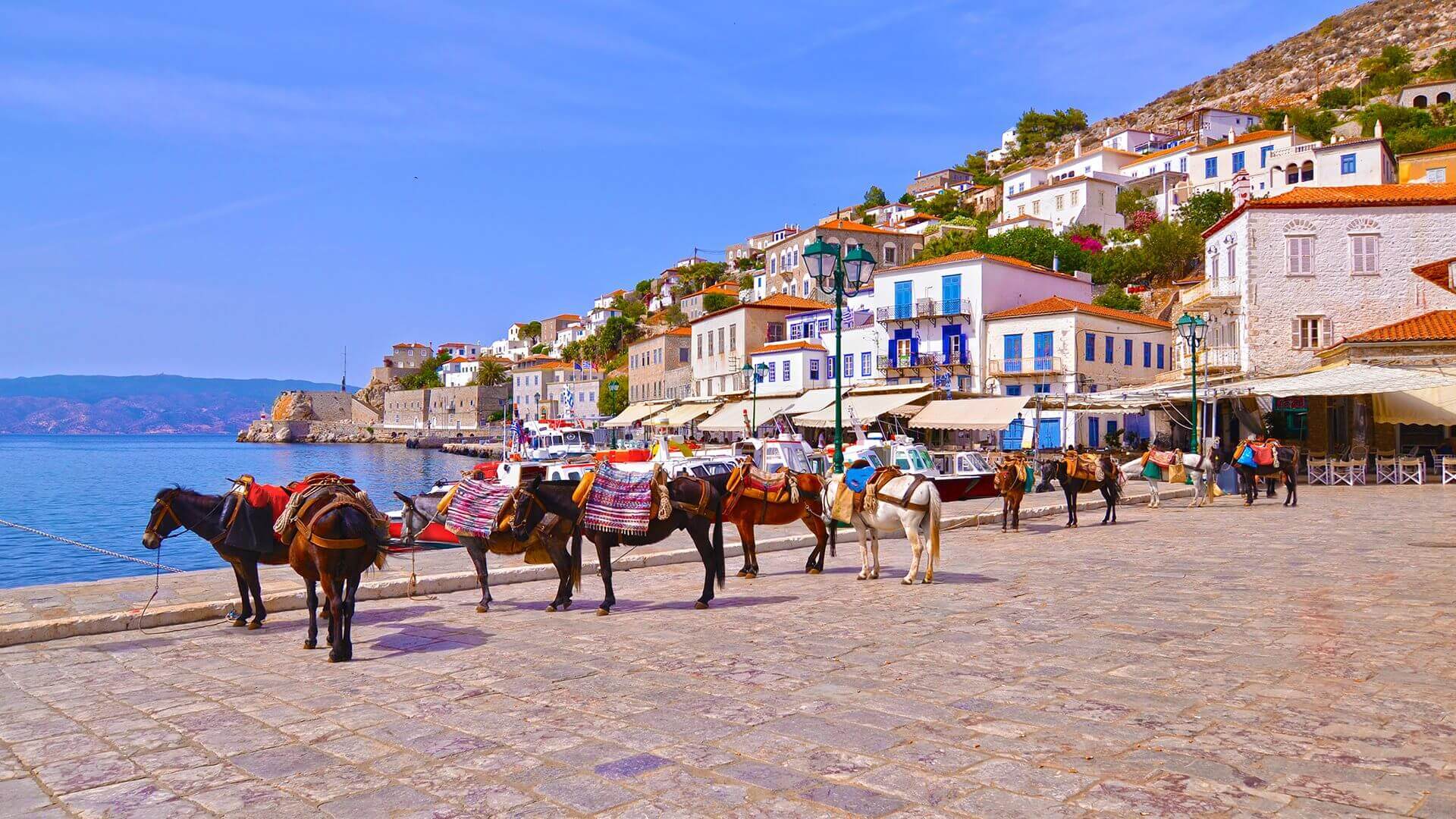 poros singlereis zeiljacht 